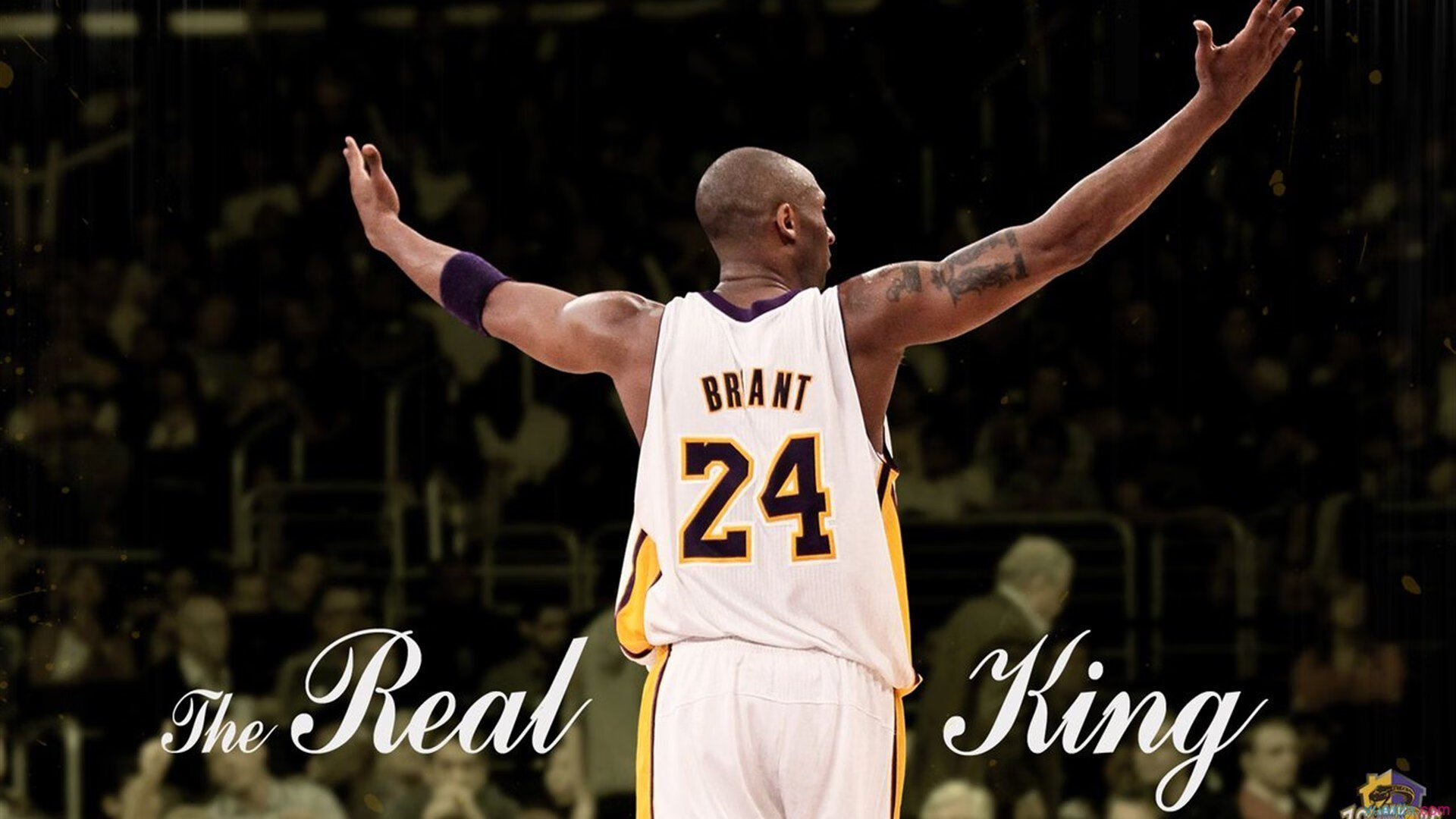 雄鹿后场发挥出色，球队首发轮换成正能量，雄鹿队的首发阵容